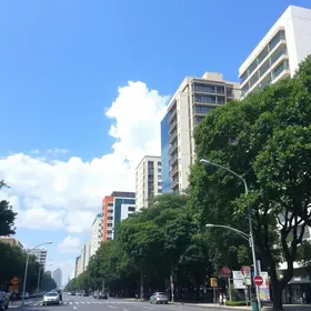 Paulista Aberta